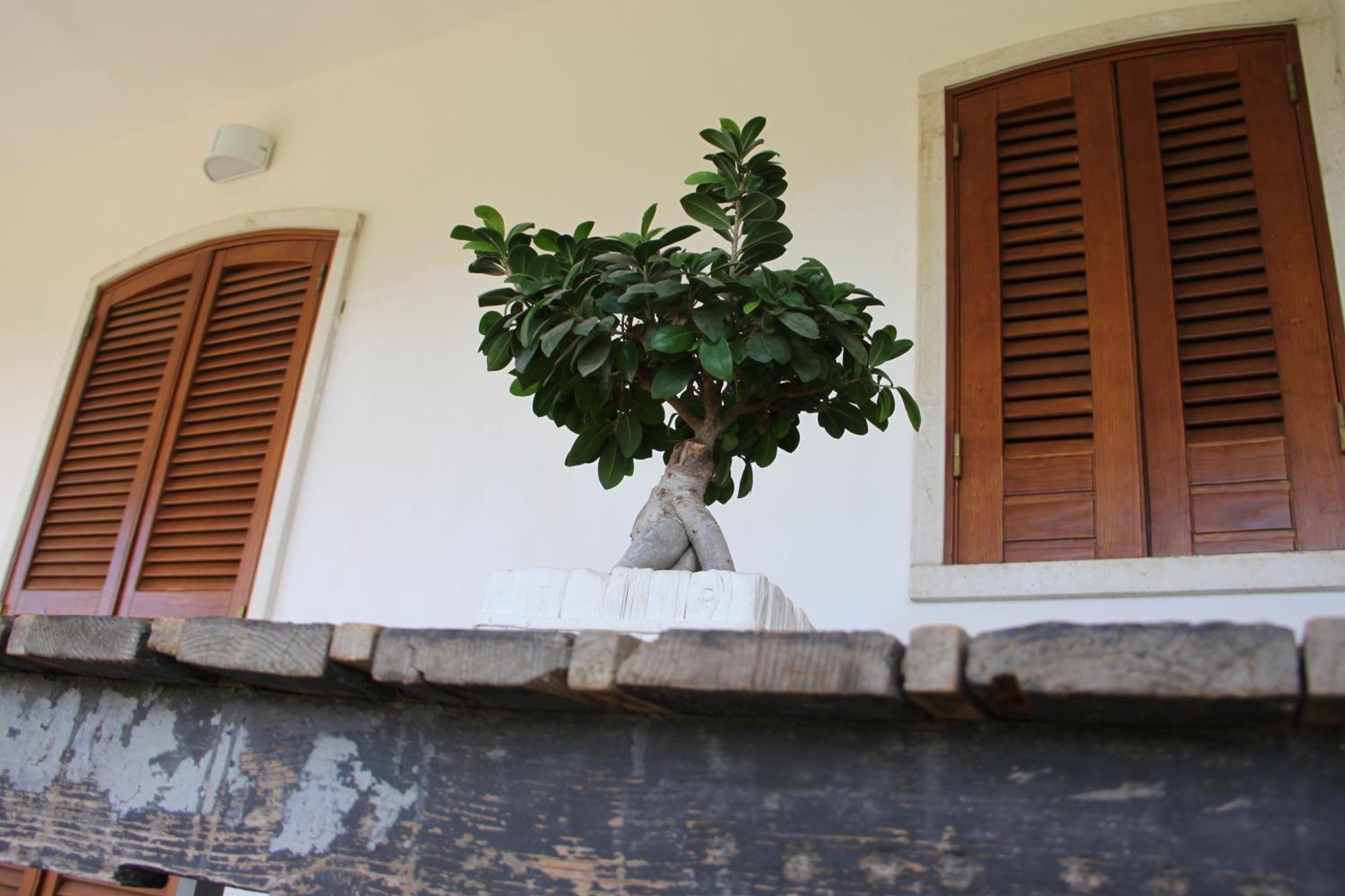 B&B Le Terrazze Lama Balice Bitonto Exterior foto